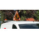 Eclairage, signalisation utilitaire